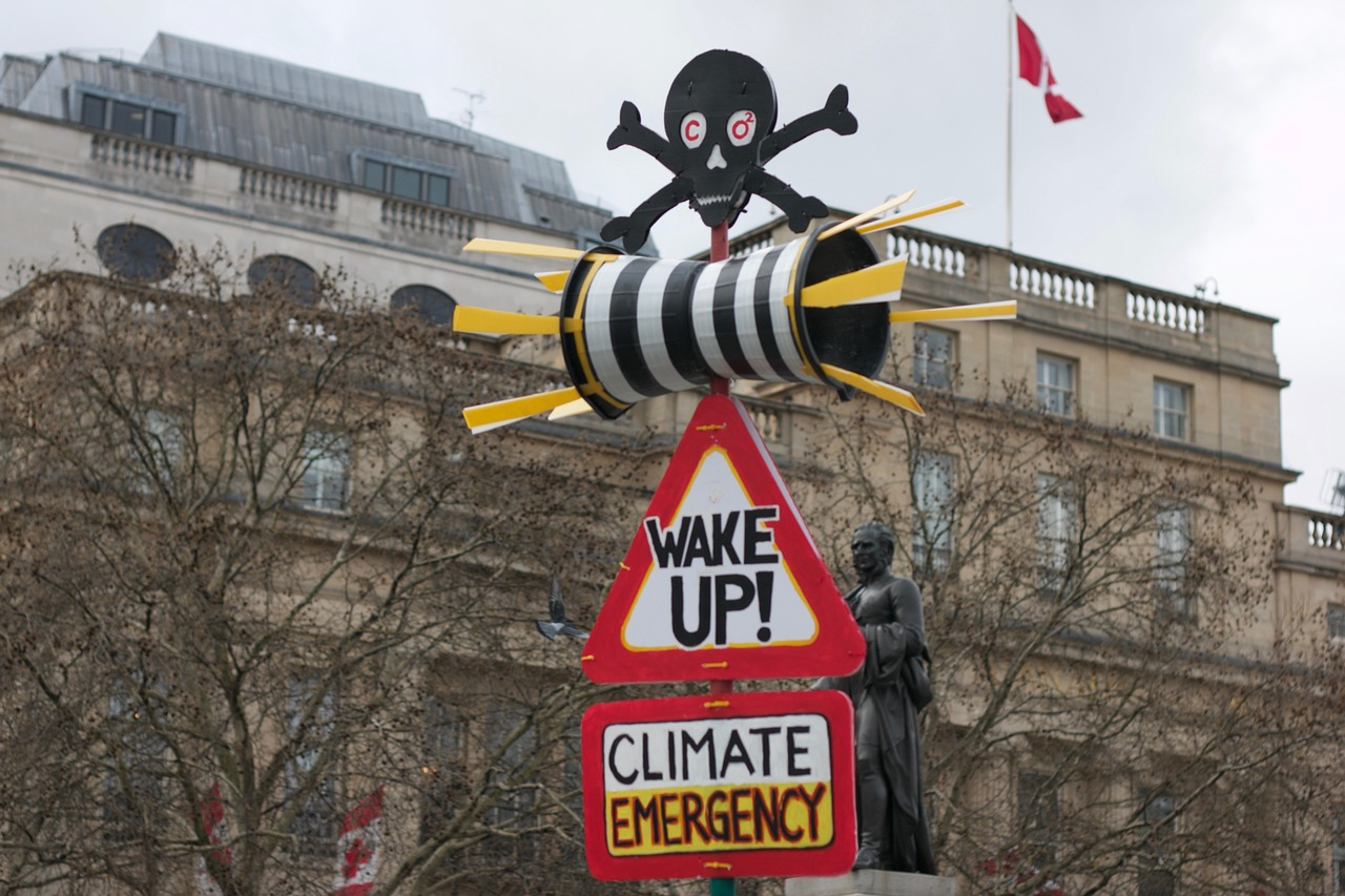 Picture of a sign at a climate protest - a black skull and crossbones with "CO2" in its eyes sits atop a siren. This in turn sits above warning signs with the words "wake up!" and "climate emergency" on them.